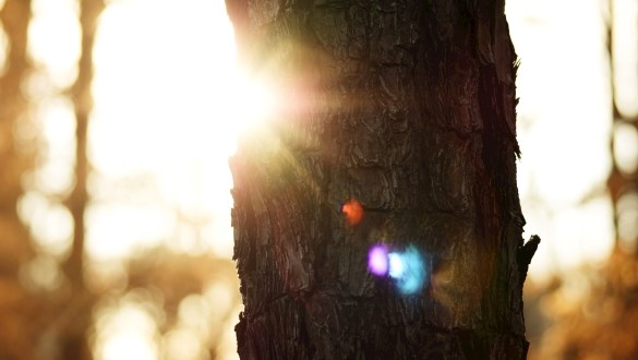 Daylight Saving Time End Reminder