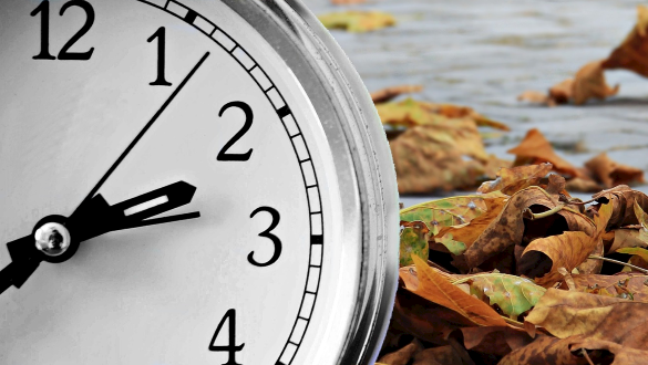 Daylight Saving Time Ends Reminder - Australia 2019