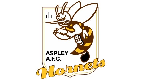 Aspley Hornets